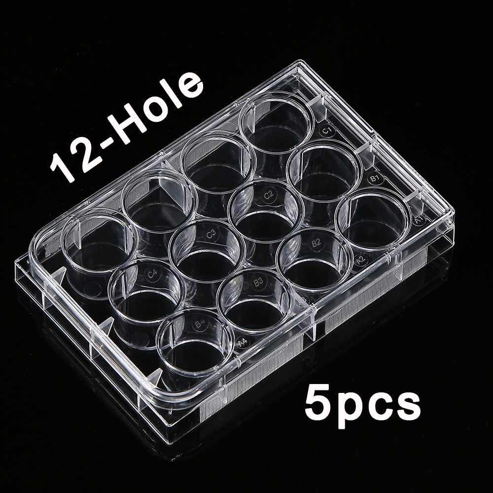 5 Stück Polystyrol 12 Vertiefu – Medical Wellness & Spa Werona Bewertung und Preis